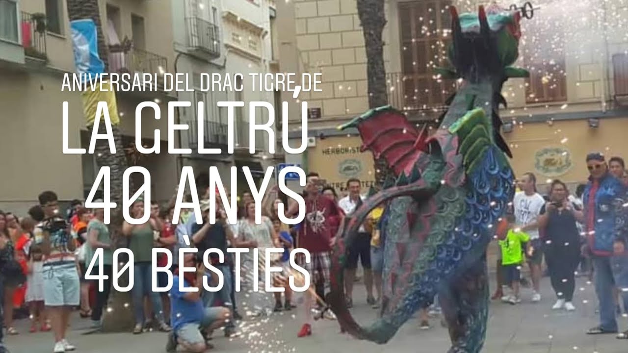 40 anys drac tigre