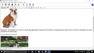 Topic 4 - Hyperlinks - Part 1