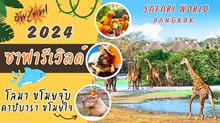 ซาฟารีเวิลด์  2024 | Safari World Bangkok  คุ้มค่าตั๋ว ครบทุกโซน ไม่พลาดทุกไฮไลท์!