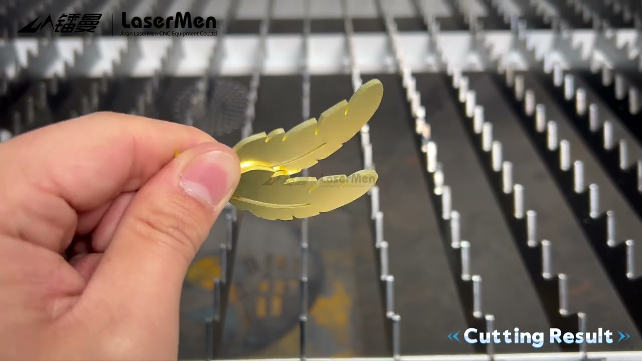 [LaserMen]LM-1390FC Dual use fiber co2 laser cutting machine for metal and nonmetal