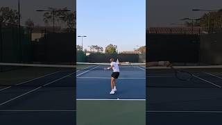 This Is Why No One Goes To The Net Anymore tennis shorts