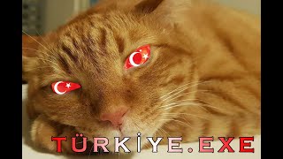 Çildirmalik Türki̇ye Montaji Sönmez Reis , Ricardo , Türkiye.exe