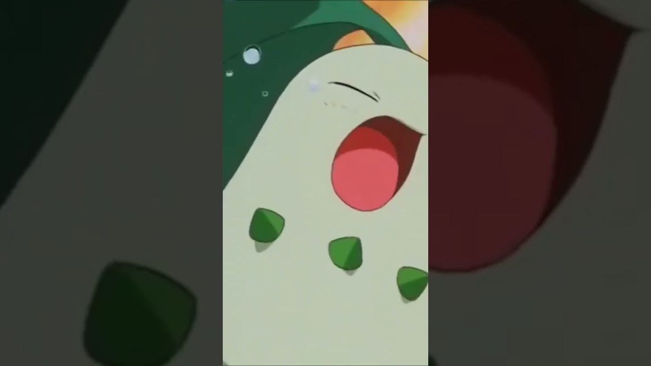 Ash's Chikorita Evolves into Bayleef!