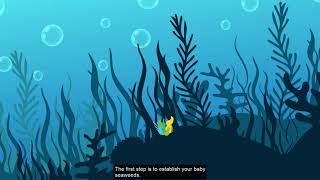 How To Grow Seaweed