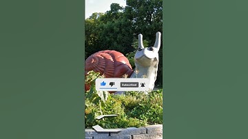 🤯I Found Giant Snail🐌on real google map and google Earthsky #shots #viral #youtube #million