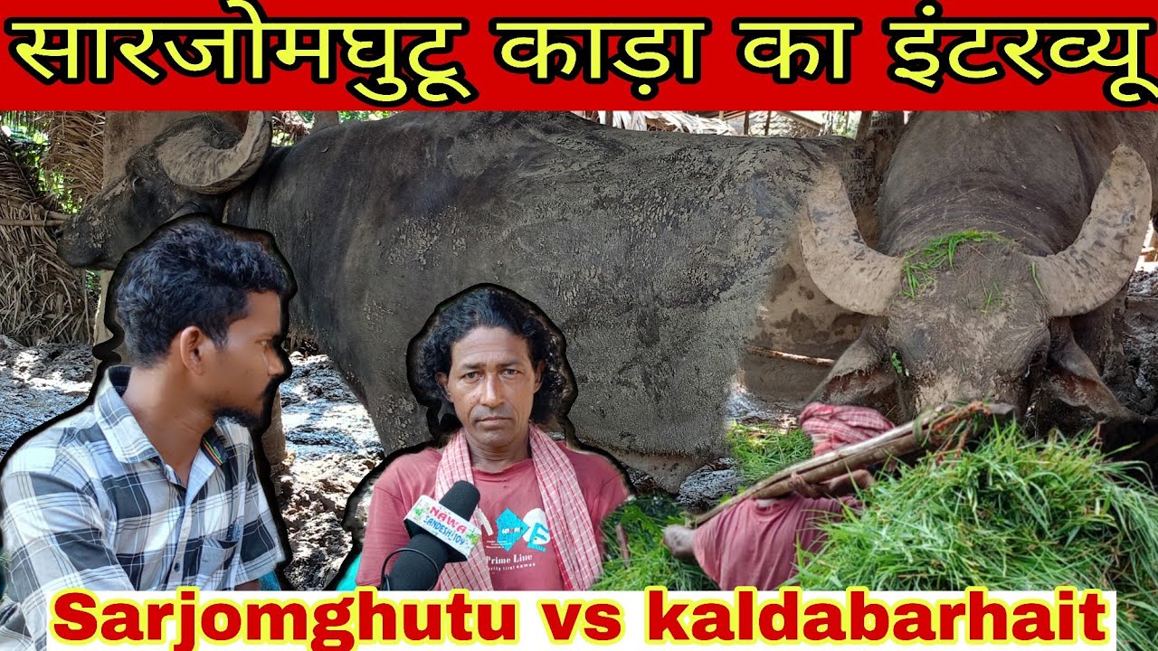 सारजोमघुटू काड़ा मलिक का इंटरव्यू विडियो जरूर देखें //#nawasandesh109