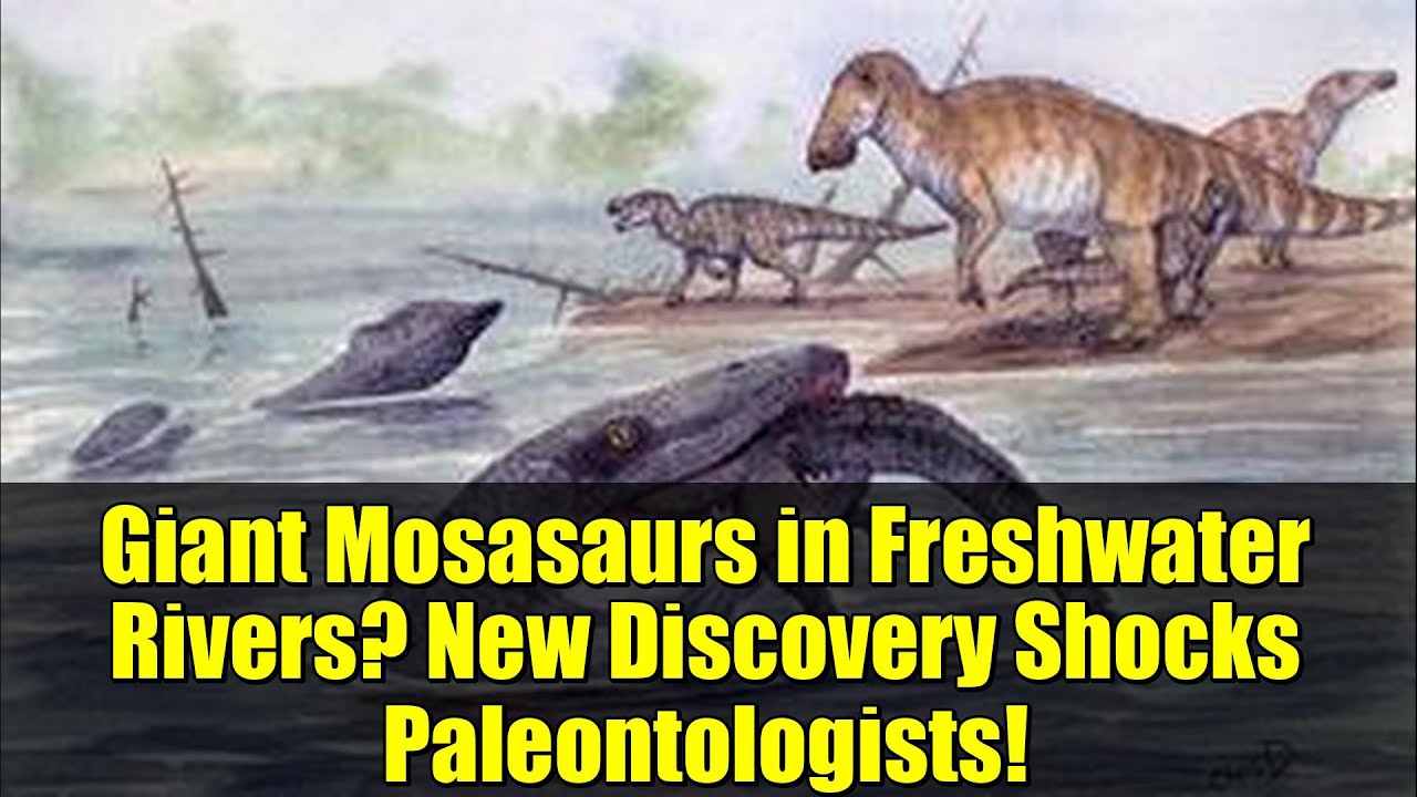 Giant Mosasaurs in Freshwater Rivers? New Discovery Shocks Paleontologists!