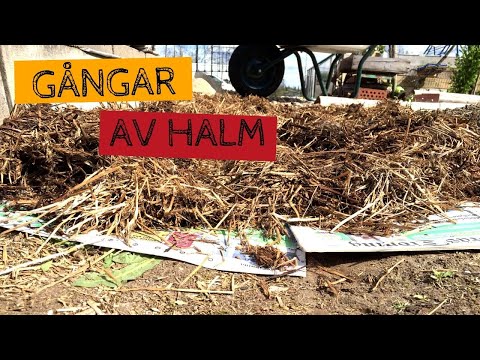 Video: Täcka Av Trädgårdarna