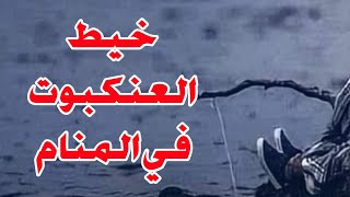 تفسير الاحلام رؤية خيوط العنكبوت في المنام