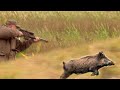 Hunting Serbia - Wild boar | Lov na divlje svinje - Vršac | Caccia ai cinghiali