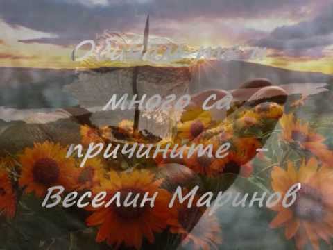 Обичам те и много са причините - Веселин Маринов
