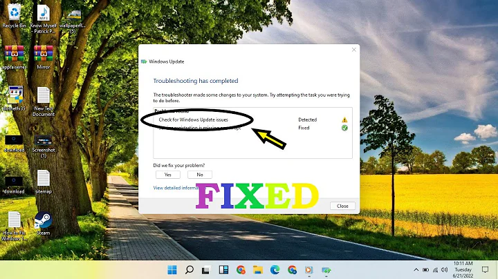 Check for Windows Update Issues detected windows 11 fix! - DayDayNews