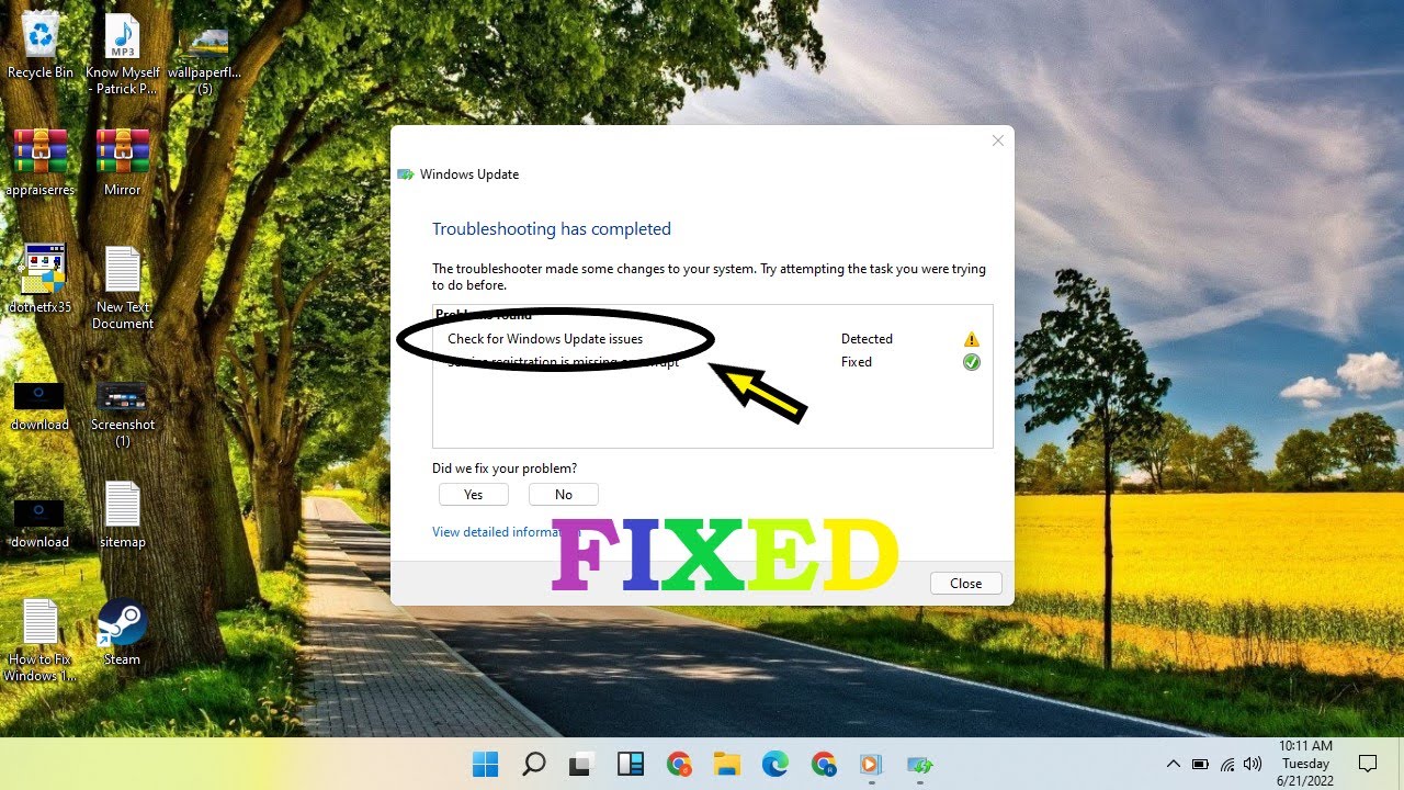 Check for Windows Update Issues detected windows 11 fix! YouTube