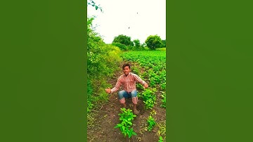 Raning Webster flip / Webster raning / Frontflip (Webster) || #shorts #websterflip #flippor #stunter