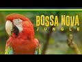 Bossa nova jungle  cutest animals