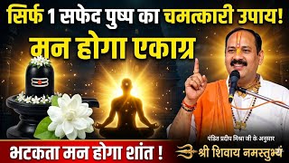 सिर्फ 1 सफेद पुष्प का चमत्कारी उपाय | भटकता मन होगा शांत और एकाग्र | शिव कृपा से मिलेगा मानसिक सुकून