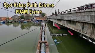 Mancing Kakap Putih di Spot Yang Extrime Jembatan Eretan indramayu