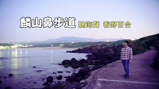 [北海岸麟山鼻步道] 帶你搭公車到白沙灣，海浪聲、野百合 ... 