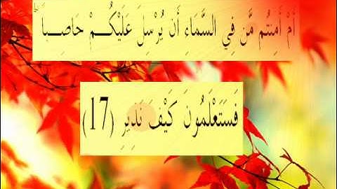 القران الكريم سورة الملك الأية 17.wmv