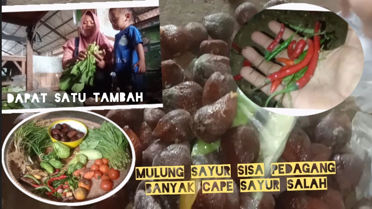 PERDANA VIDEO MULUNG SAYUR SISA PEDAGANG