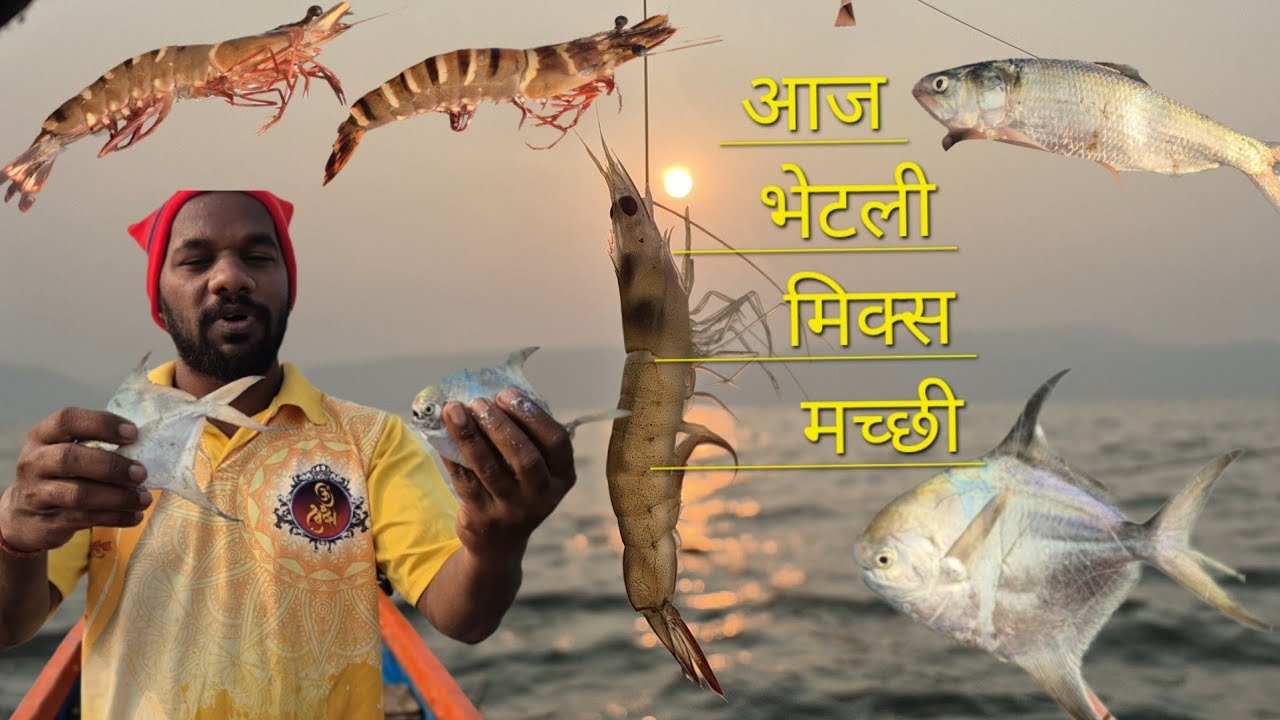 गेलो होतो आज पापलेट  आणि पाला  मासेमारी करायला 