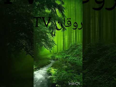 ياللى غايب عن عنيا محمد حماقى