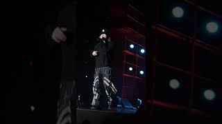 20191026 스카 페스티벌 애쉬 아일랜드 Paranoid