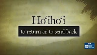 Hawaiian Word of the Day: Hoihoi