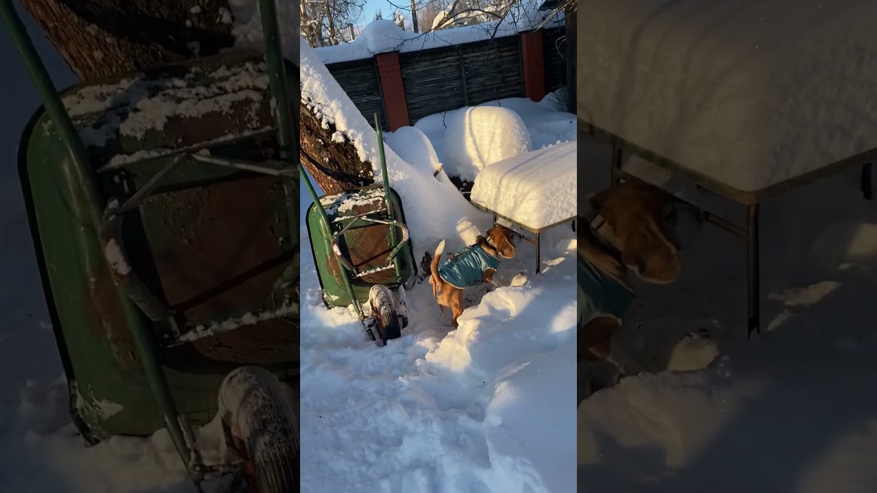 Гера и Бостон - в новых одежках 