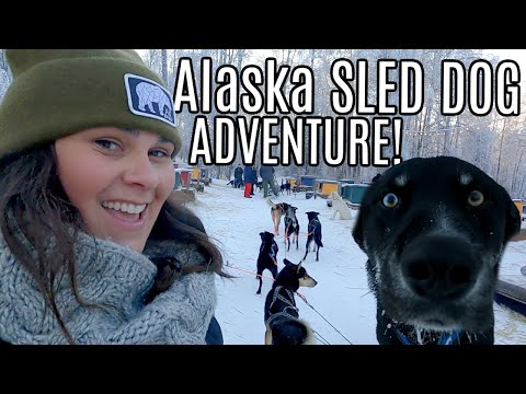 Video: Dog-Sledding Vacations