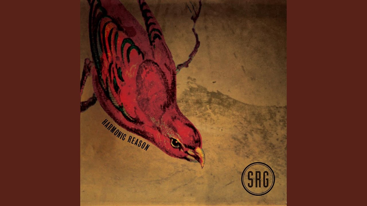 Watch Black Dog on YouTube Watch Black Dog on YouTube