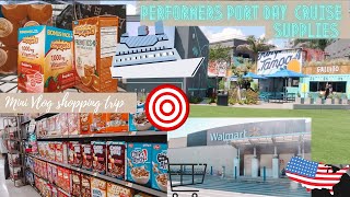 Cruise Ship Performer I WALMART/TARGET I Port Day Cruise Supplies I Mini Vlog I Tampa USA