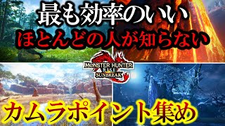 最新版カムラポイント最効率爆増法‼️】が稼ぎすぎて凄い【モンハン