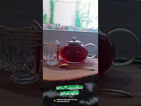 لطف الله 