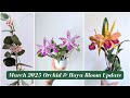 🌸 Orchid &amp; Hoya Bloom Updates | March 2025 - My Collection is Overgrown - Time to Repot Soon