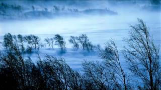 Songs From A Tomb - Winter Sorrow