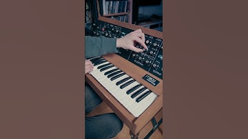 Minimoog Dub Chords