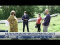 Сельчанам в СКО нечем кормить домашний скот