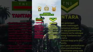 Perbedaan Tamtama dan Bintara TNI AD #tniad #tniindonesia #fyp
