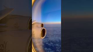 Emirates airlines flight ✈️#dubai #travel #emirates airlines