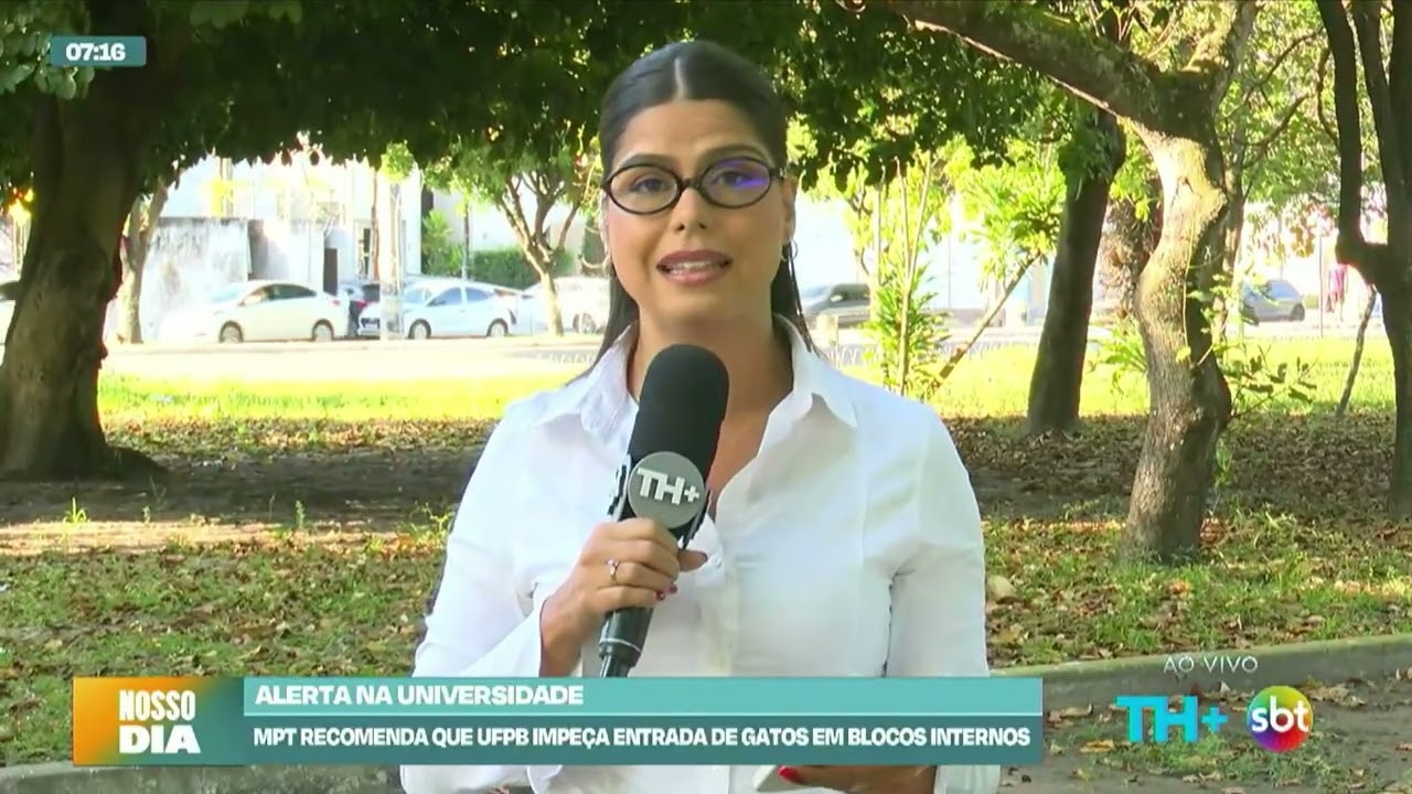 MPF recomenda que UFPB impeça entrada de Gatos em Blocos Internos - Nosso Dia - 13 07 26