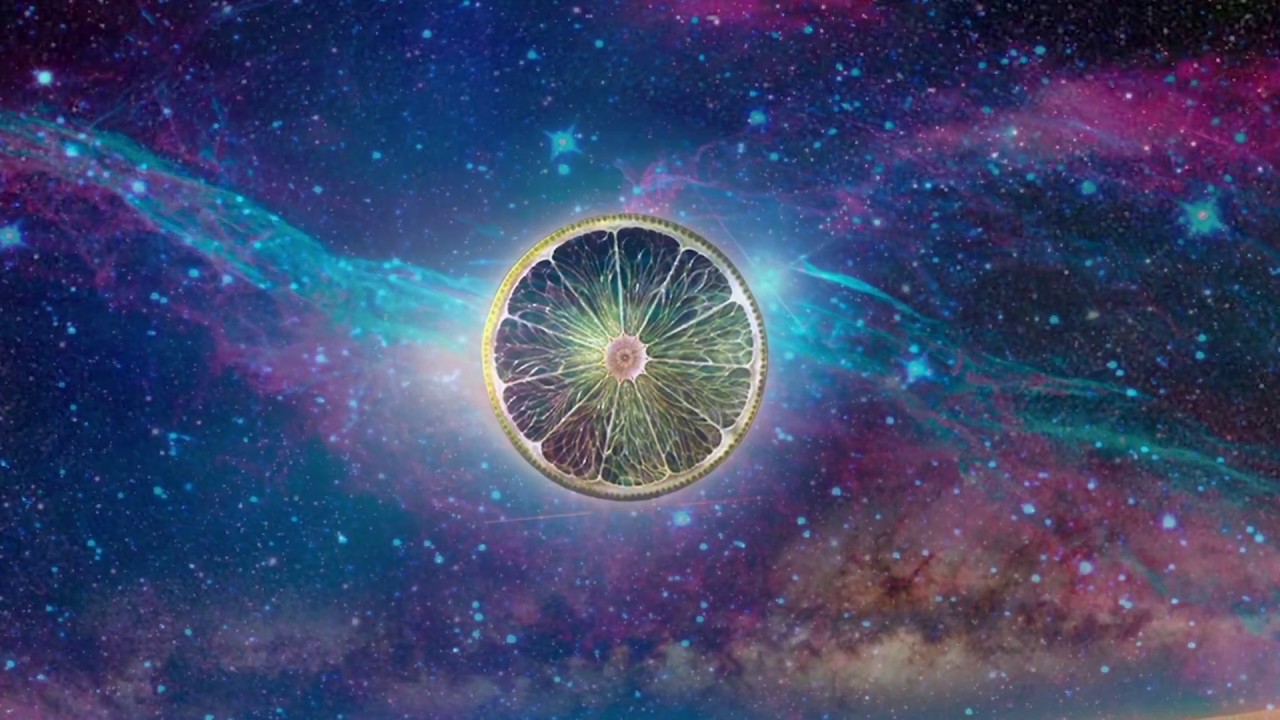 Guarda The Cosmic Carnival - First Flowers Albumtrailer (official video) su YouTube Guarda The Cosmic Carnival - First Flowers Albumtrailer (official video) su YouTube