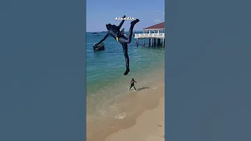 باتمان هههههه باتمان مضحك Funny Shortvideo Like Video Virl فولو Fyp متابعه احبكم لايك 