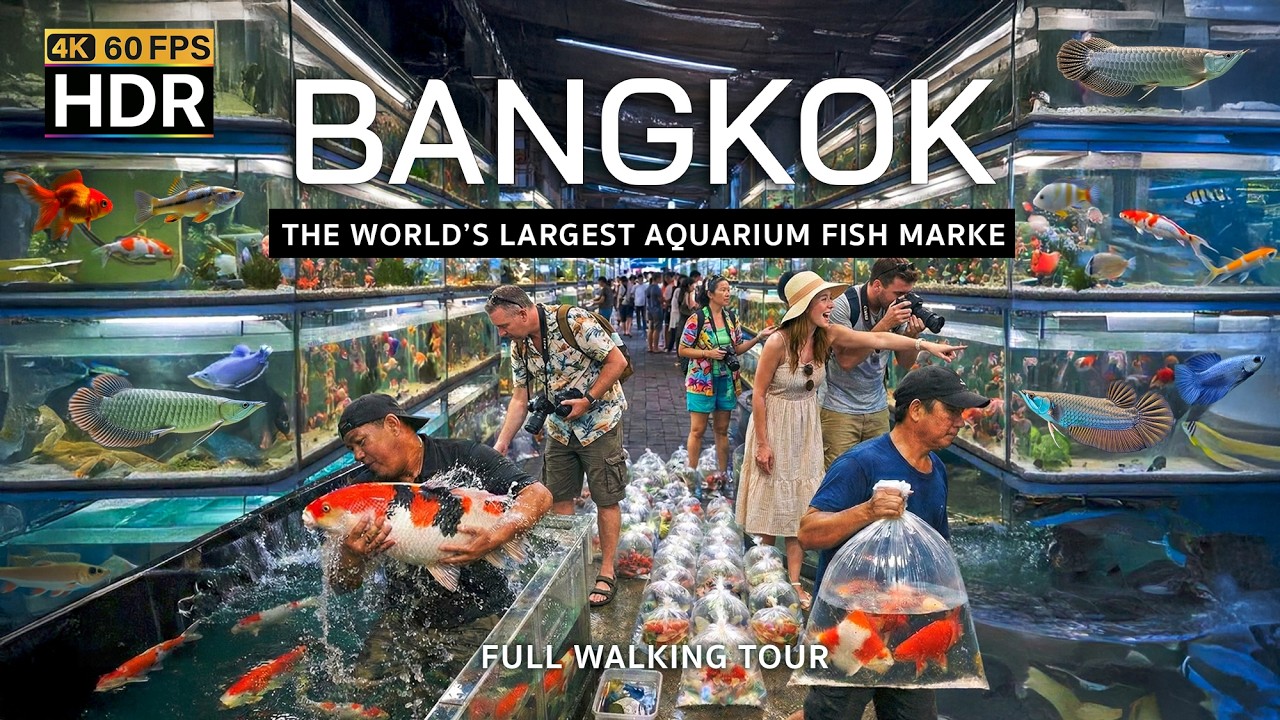 🇹🇭 4K HDR | Inside The World’s LARGEST Aquarium Fish Market! | Chatuchak Fish Market Bangkok