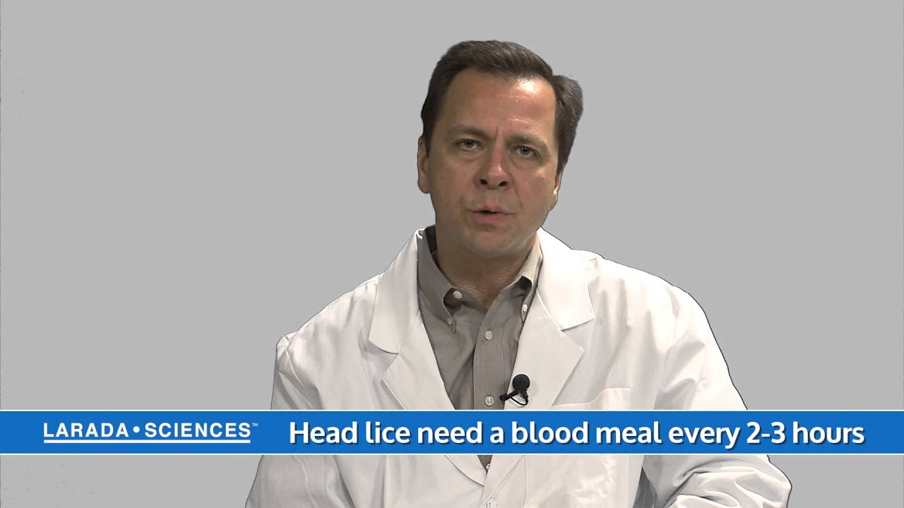 Can lice survive off the body?