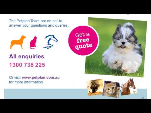 Petplan Immediate Veterinary Cover for Pets - Presentation