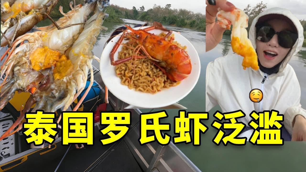 听说国内几百块一只的巨型罗氏虾在泰国泛滥了，我和女友火速前往泰国，品尝国内的顶级食材 #大豪夫妇 #泰国 #罗氏虾 #淡水虾王 #钓鱼