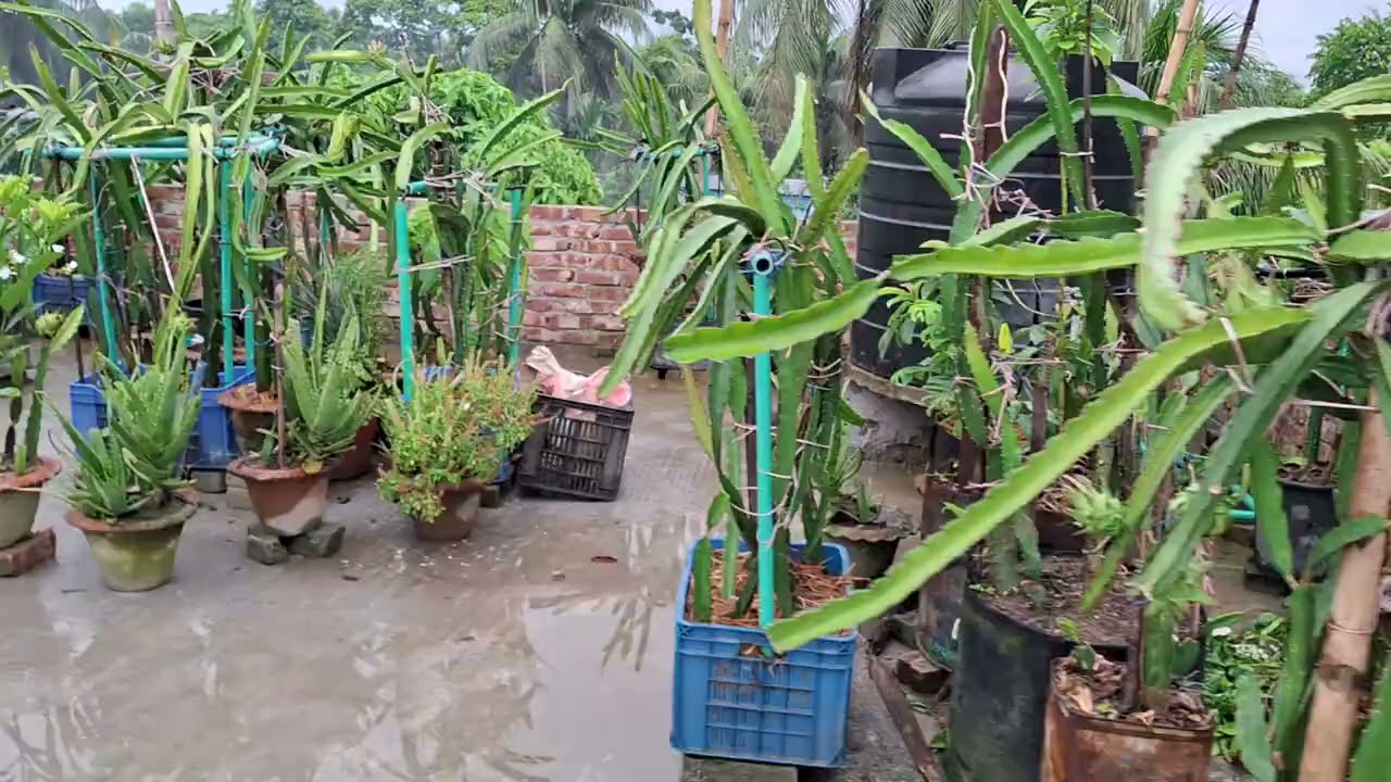 Utpal,s chadbagan