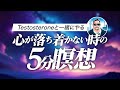 【保存版】不安な時に効く!Testosteroneと一緒にやる5分瞑想