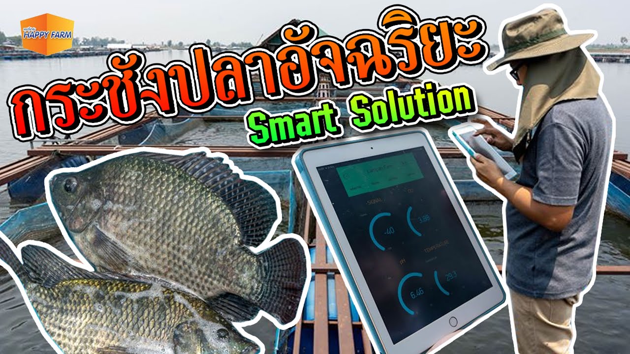 กระชังปลาอัจฉริยะ แฮปปี้ฟาร์ม - Smart Solution